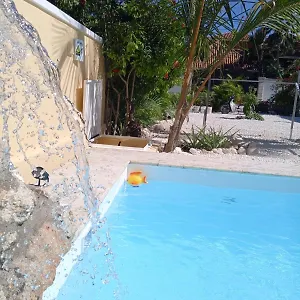 Ave Fenix Punta Cana